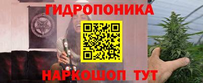крисы Изобильный