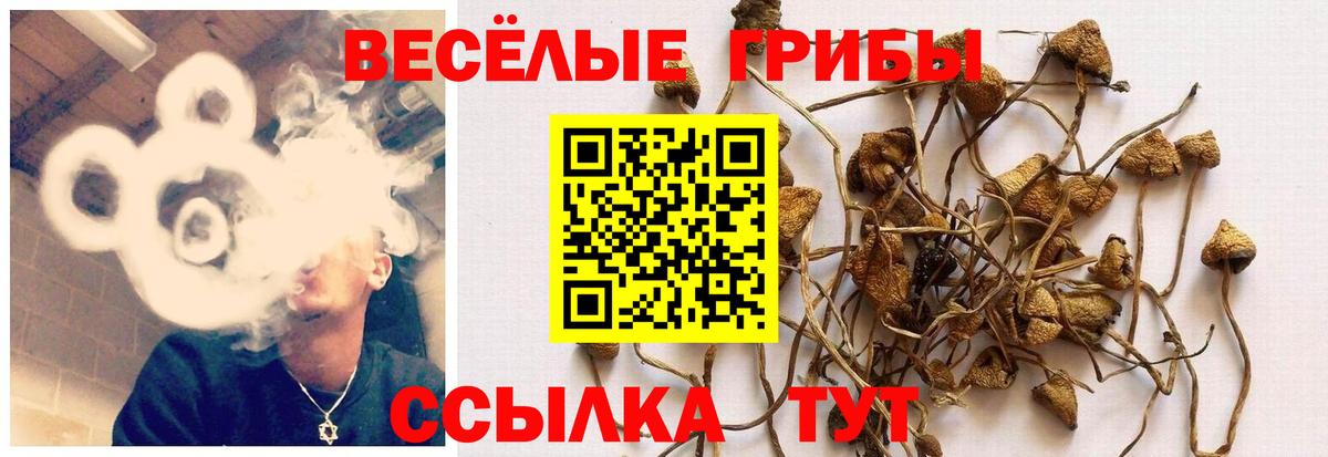 Псилоцибиновые грибы GOLDEN TEACHER  Вход с VPN  Ликино-Дулёво 